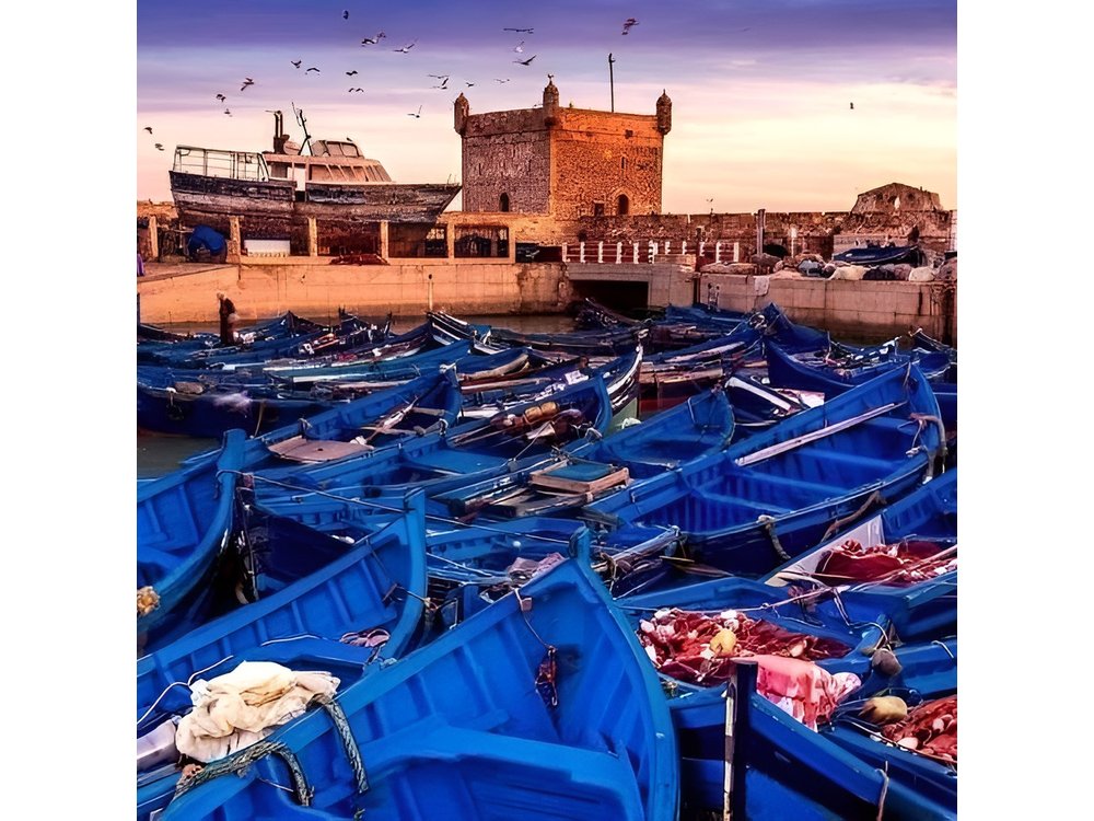 Marrakech: day trip to Essaouira beautiful the historique
