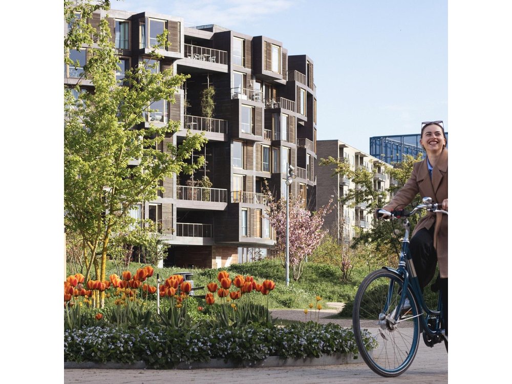Copenhagen Architecture and Sustainability Tour with local Guide
