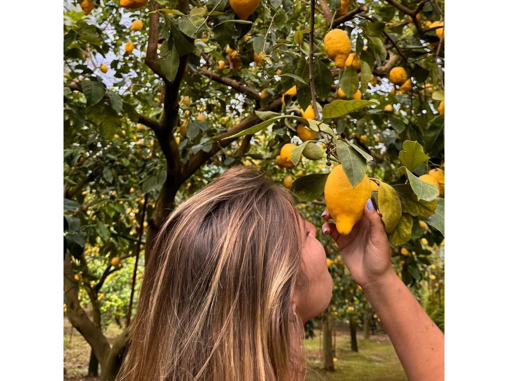 Nonno Mario Sorrento Lemon tour