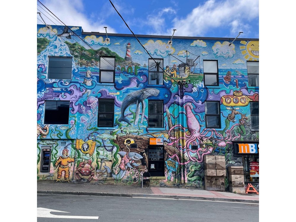 90 Minute Downtown St. John's Walking Tour Walking on Water