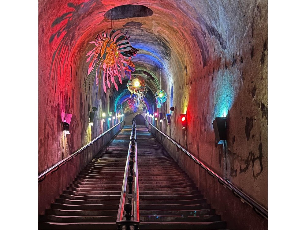 Discovery Tour Reims and Epernay