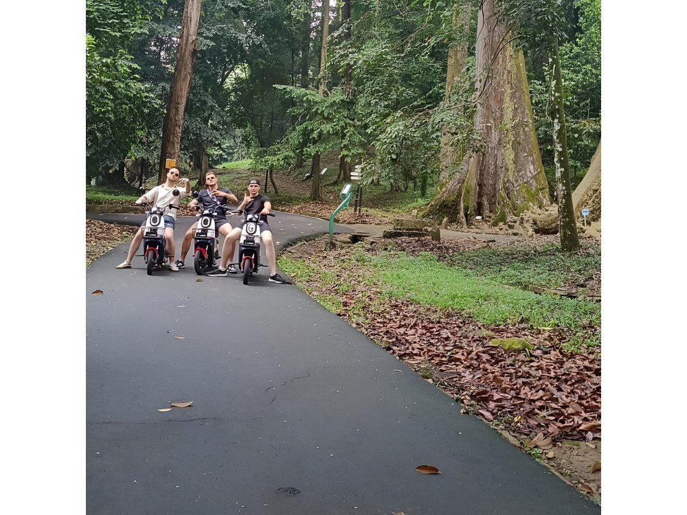 Bogor Botanical Garden, City and Miniature Park in Heritage