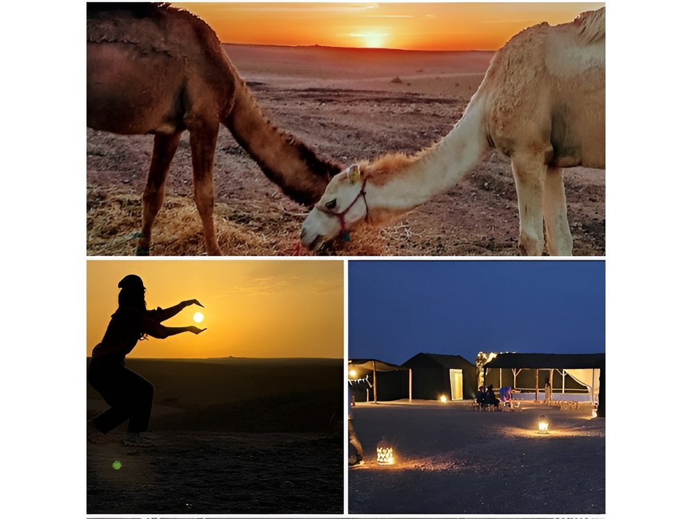 Marrakech Amazing Dinner Show in Agafay Desert, Sunset Camel Ride