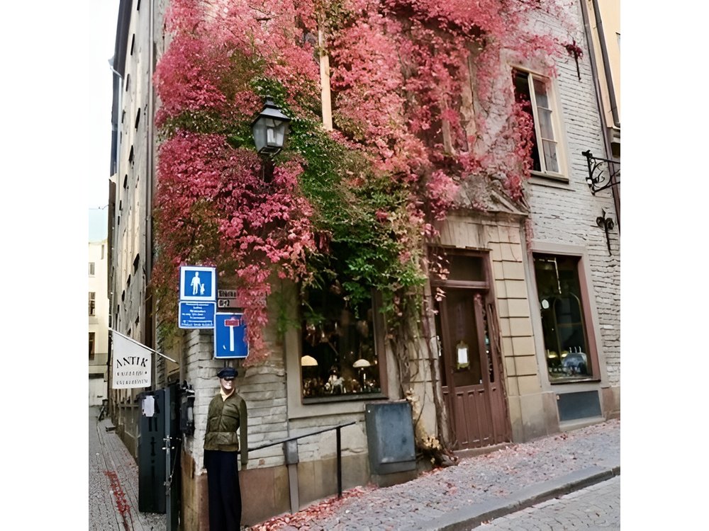 Stockholm Private Group Walking Tour | 3 Hours