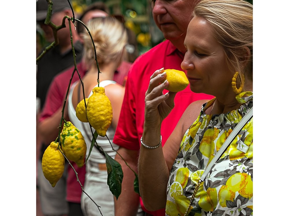 Sorrento Ape Tour, Lemon Garden, Mozzarella Show & Pizza Class