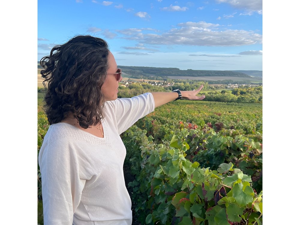 Sancerre Wine Day from Paris with 10 Tastings & Lunch