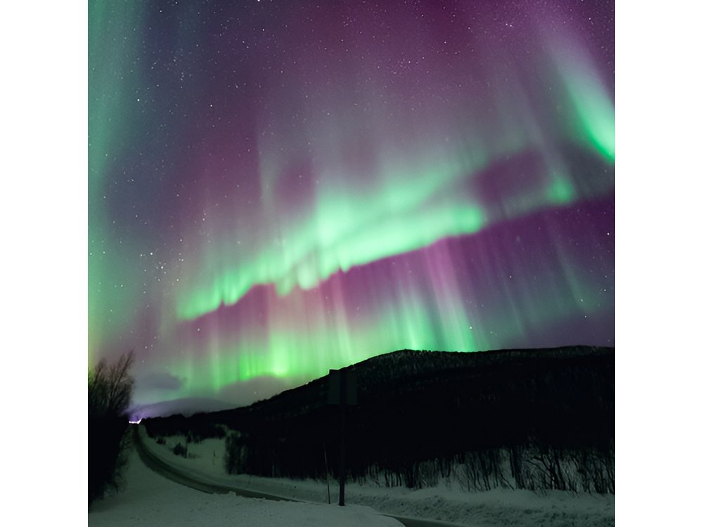 Rovaniemi: Northern Lights Pro Guaranteed - Unlimited (PRIVATE)