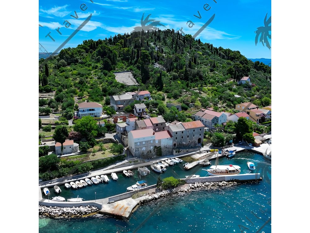 Zadar 2 Islands Hopping and Snorkeling during half day boat tour