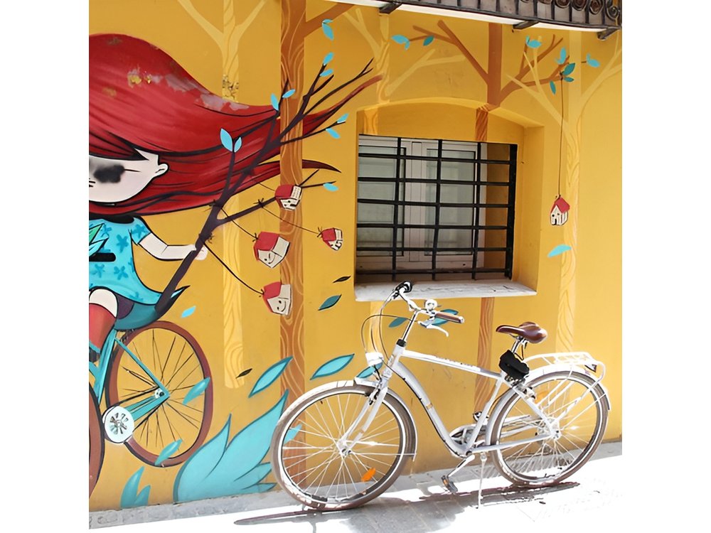 Valencia Street Art | Small Group Guided Tour by Bike
