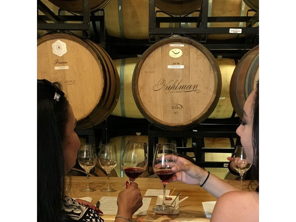 Fredericksburg Hill Country Aficionado Wine Tour from San Antonio