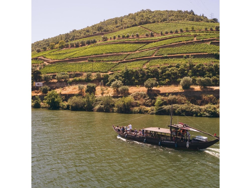 Douro Valley: Rabelo Boat Tour with Port Wine & Audio Guide