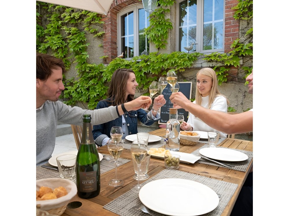 Reims or Epernay: Full day Champagne Mumm, family grower & lunch