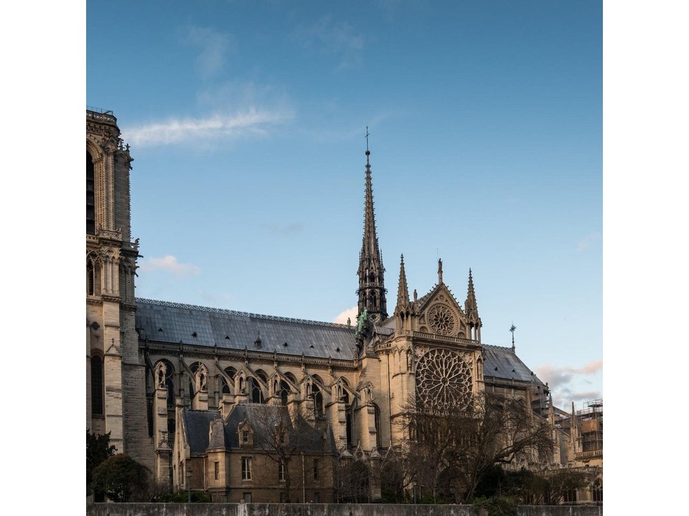 Notre Dame Paris Outdoor Tour with Crypt Entry