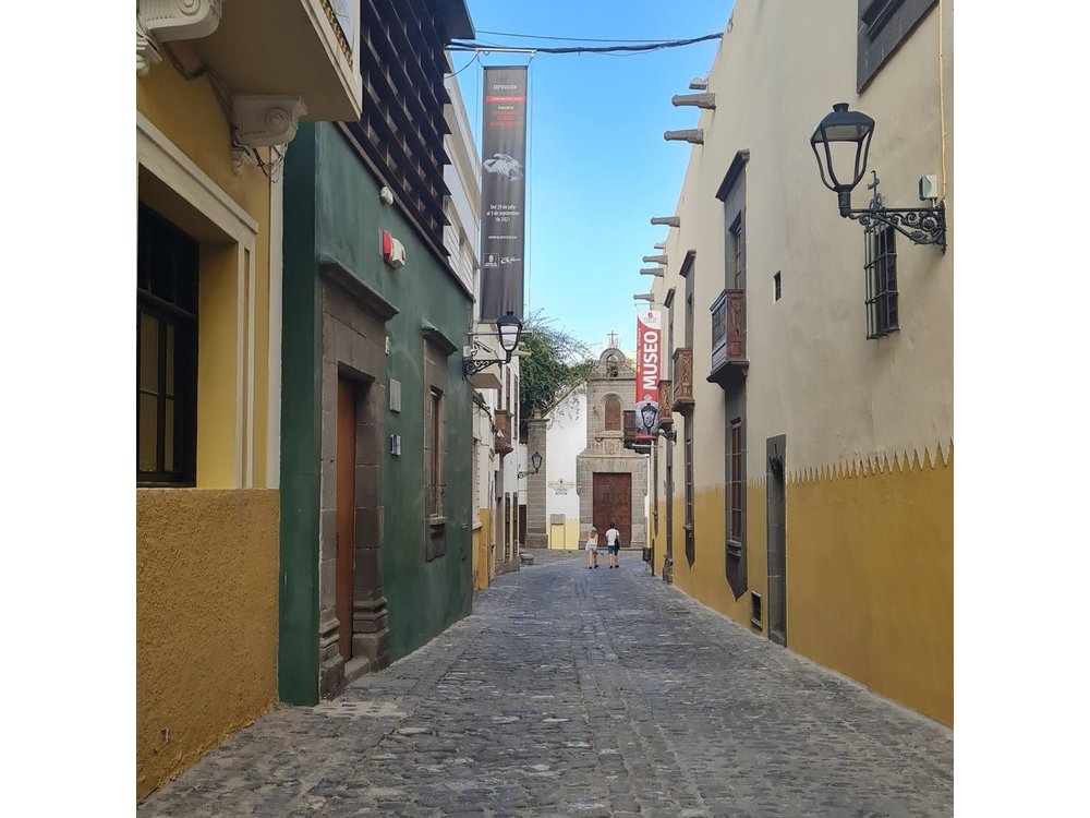The Essentials of Gran Canaria: 4-Hour Tour from the Port