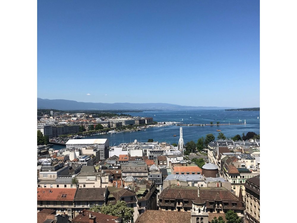 Private Tour of Geneva with Local Driver Guide