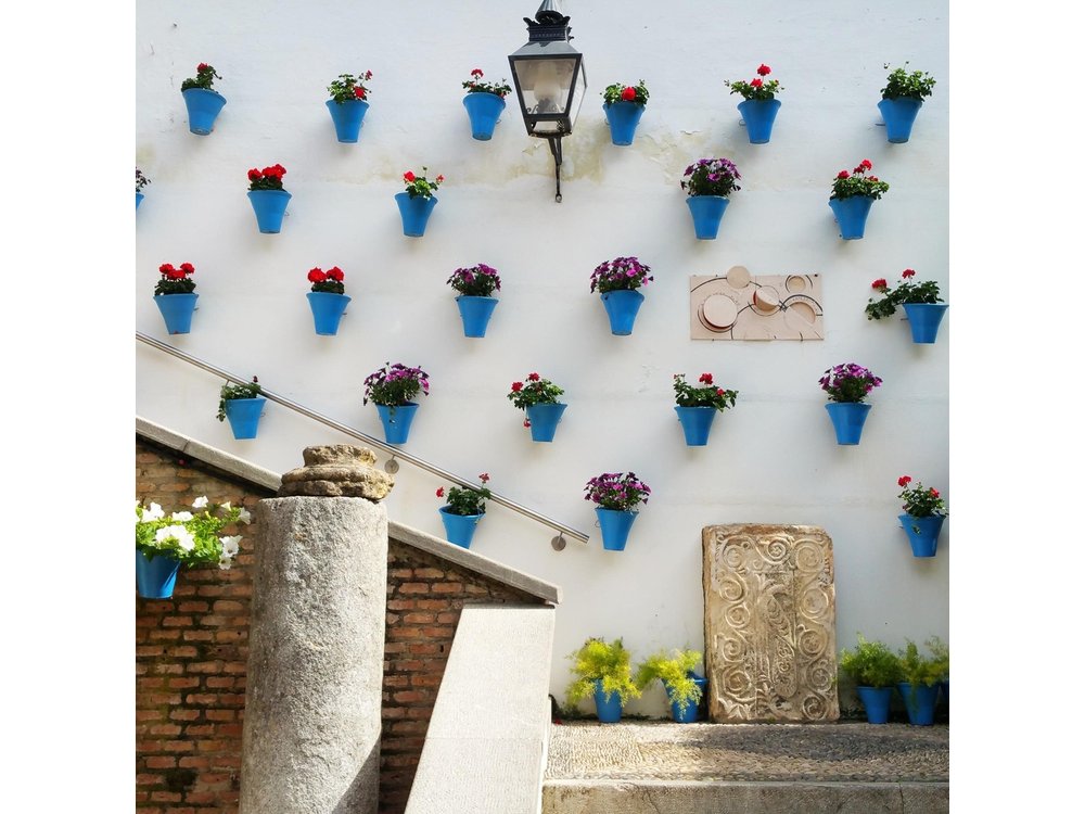 Cordoba Day Trip from Madrid by Train