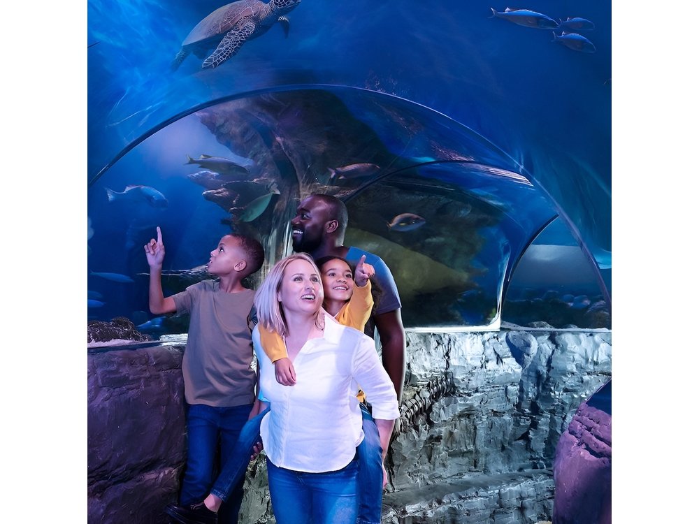 Combo Ticket: Madame Tussauds & SEA LIFE London Aquarium
