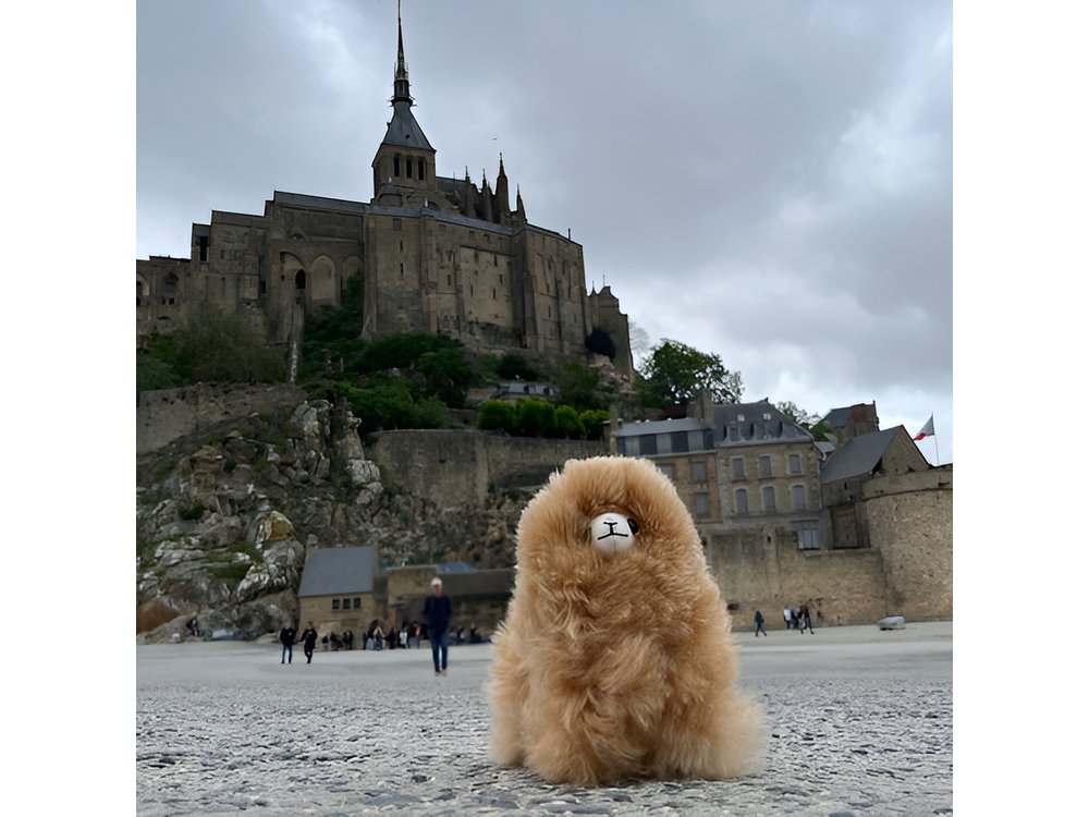 Private Guided Mont Saint Michel & D-day tour from Paris