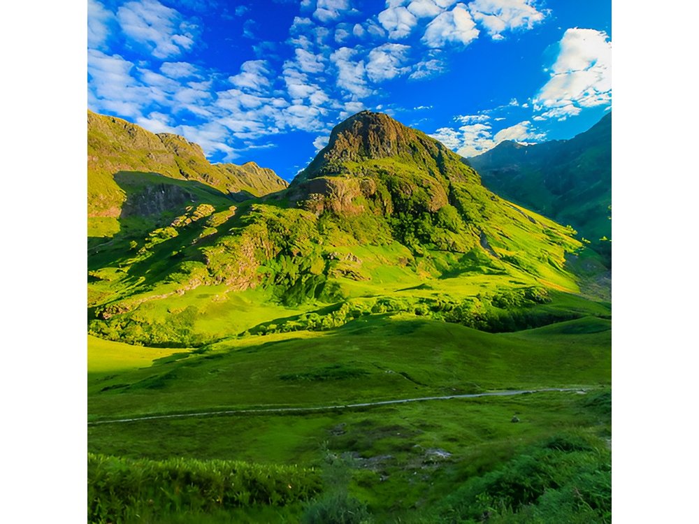 Highlands Cows Glencoe and Castles Private Tour from Edinburgh