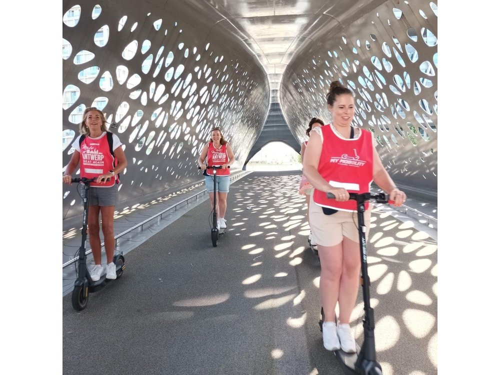 Guided E-kickscooter tour: The big five of Antwerp