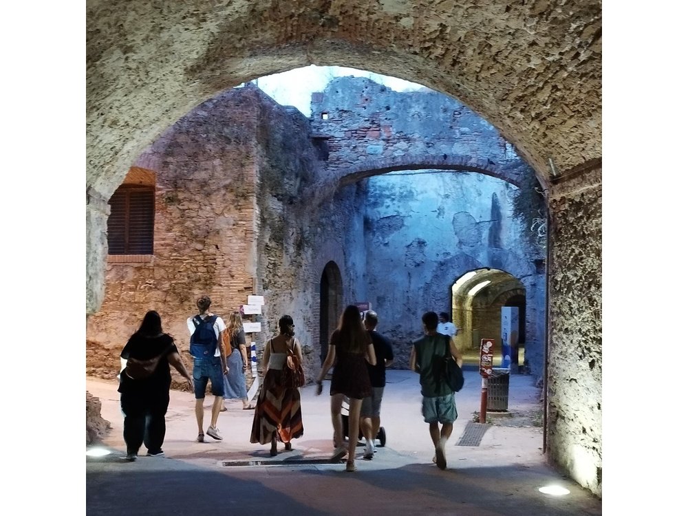 Rome: Colosseum Gladiator Arena Forum and Palatine Guided Tour