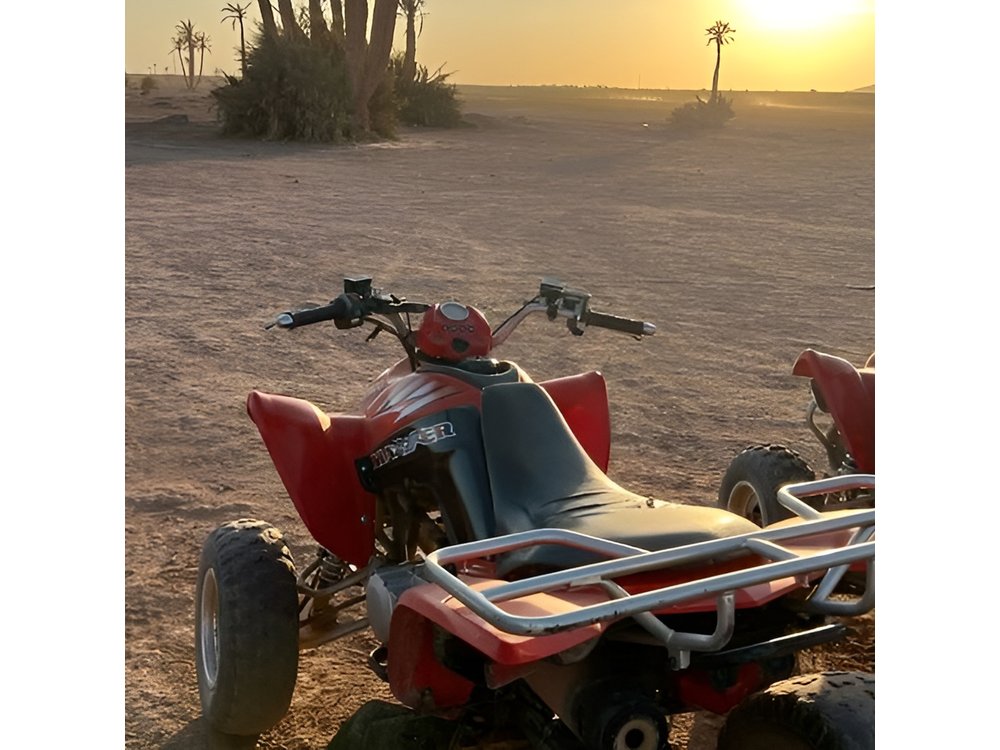 Marrakech palmeraie Quad Bike Experience with transfers