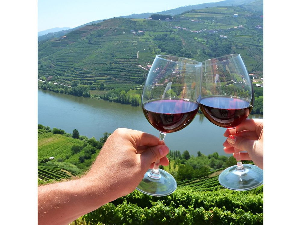 Porto: Douro Valley Wine Tour Including Lunch