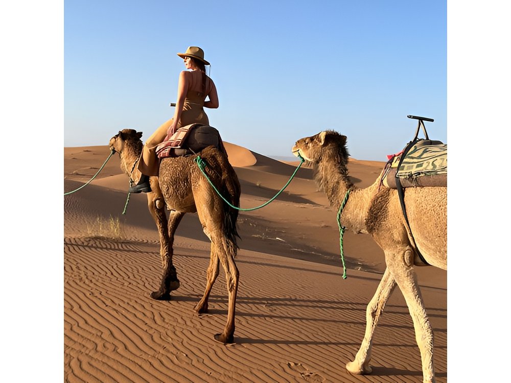 3 Days 2 nights Tour From Marrakech To Marzouga To Fez