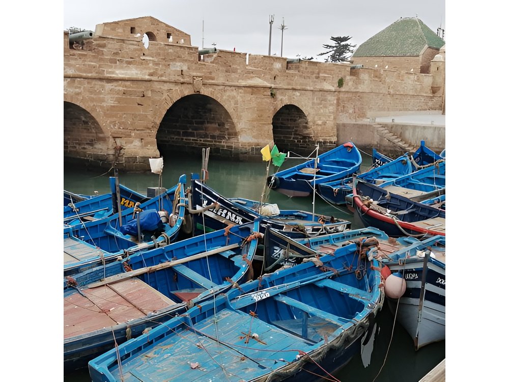 One day tour from Marrakech to essouira