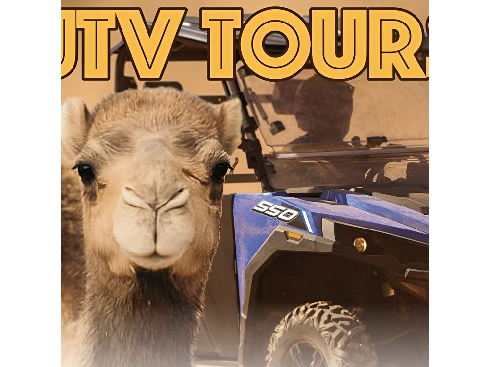 Las Vegas Guided UTV Safari and Zoo Tour