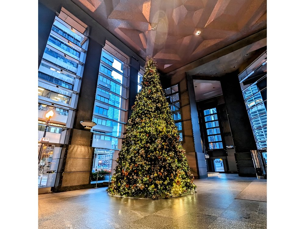 The Christmas Tree Crawl Experience Chicago at the Holidays