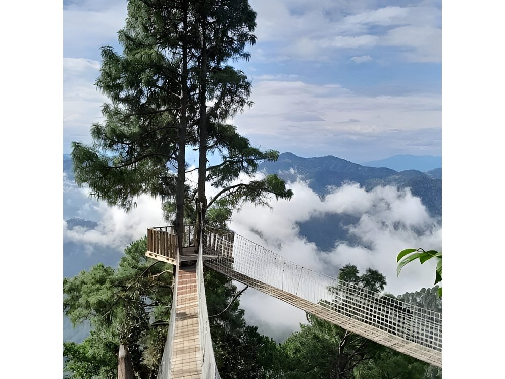 San Jose del Pacifico Tour “Amid Clouds”