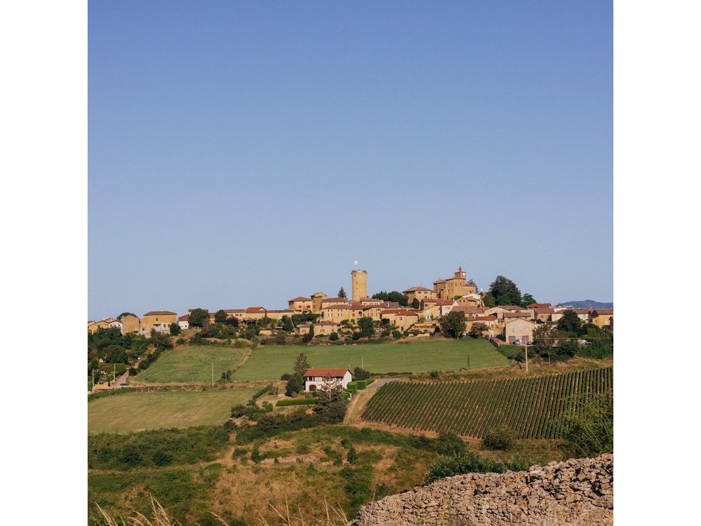 Golden stones Beaujolais Wine Tour with Tastings from Lyon