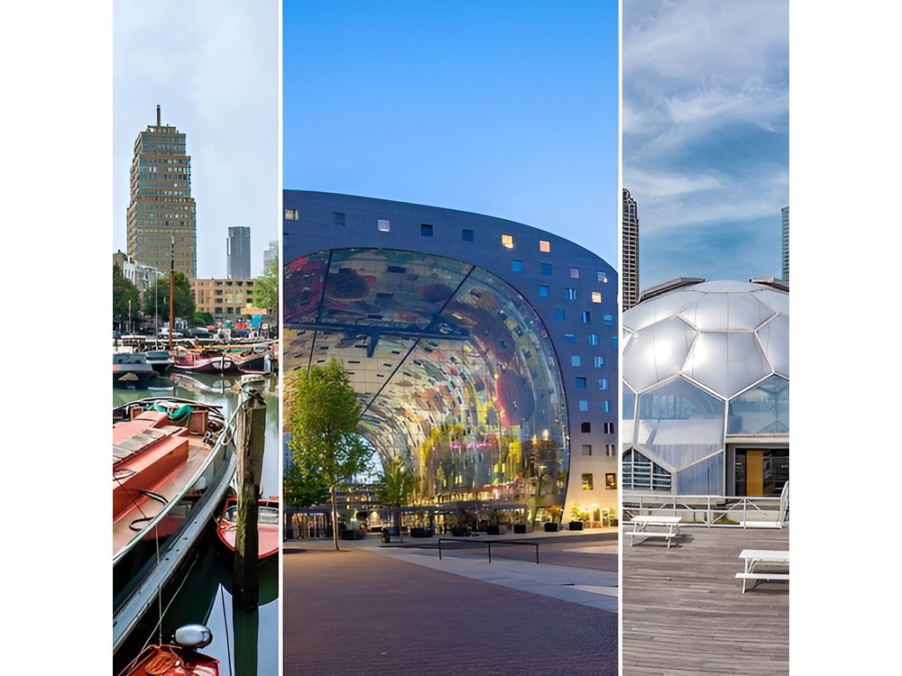 Rotterdam Must Do Tour: Highlights, History, WW2 and Architecture