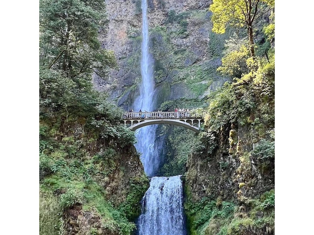 Private Tour of Multnomah Falls and Columbia Gorge