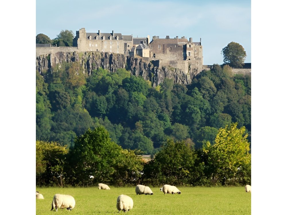 Greenock Ocean Terminal: Stirling Castle and Loch Lomond Day Tour