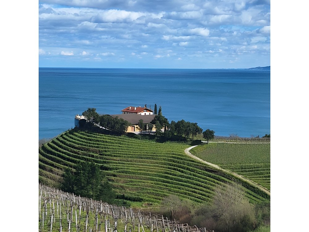 Private Txakoli Wine Tour through the Coast from San Sebastian