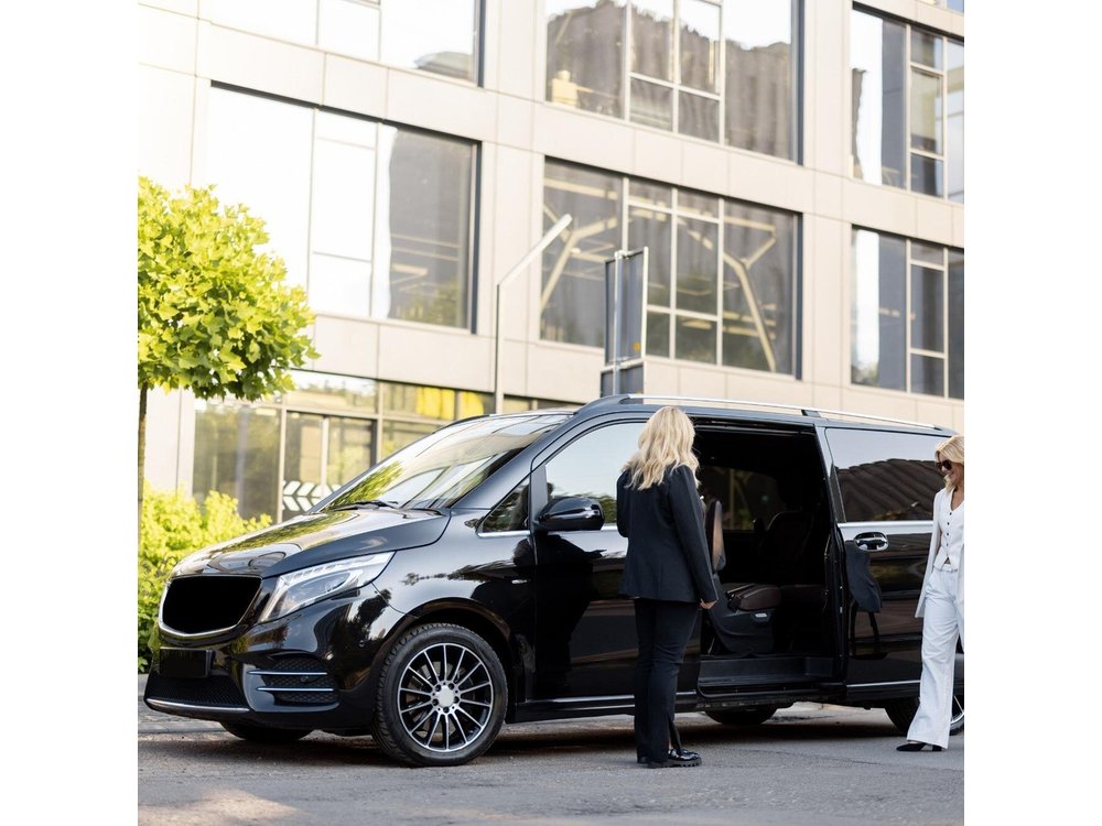 Copenhagen: 3 hrs Private Sightseeing in Premium Vehicle