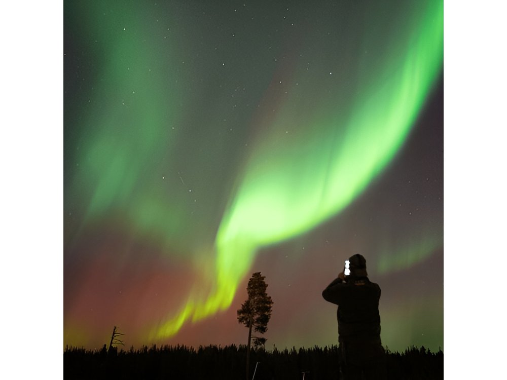 Aurora Hunting by Minivan in Ivalo, Inari or Saariselkä