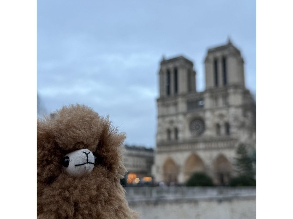 Paris Private Guided Walking Tour with Notre-Dame Visit
