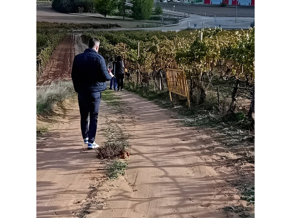 Ribera del Duero Wine Tour from Madrid with 2 Wineries & Tastings