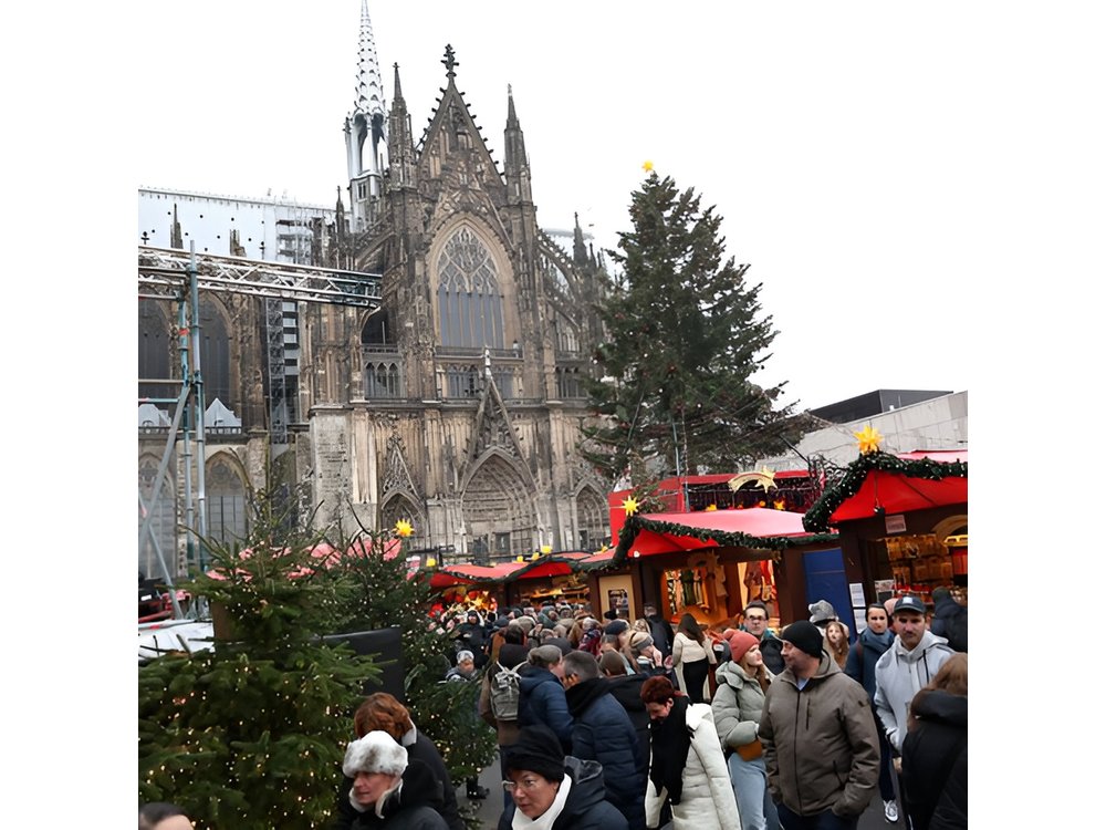 Cologne Small-Group Day Tour from Amsterdam