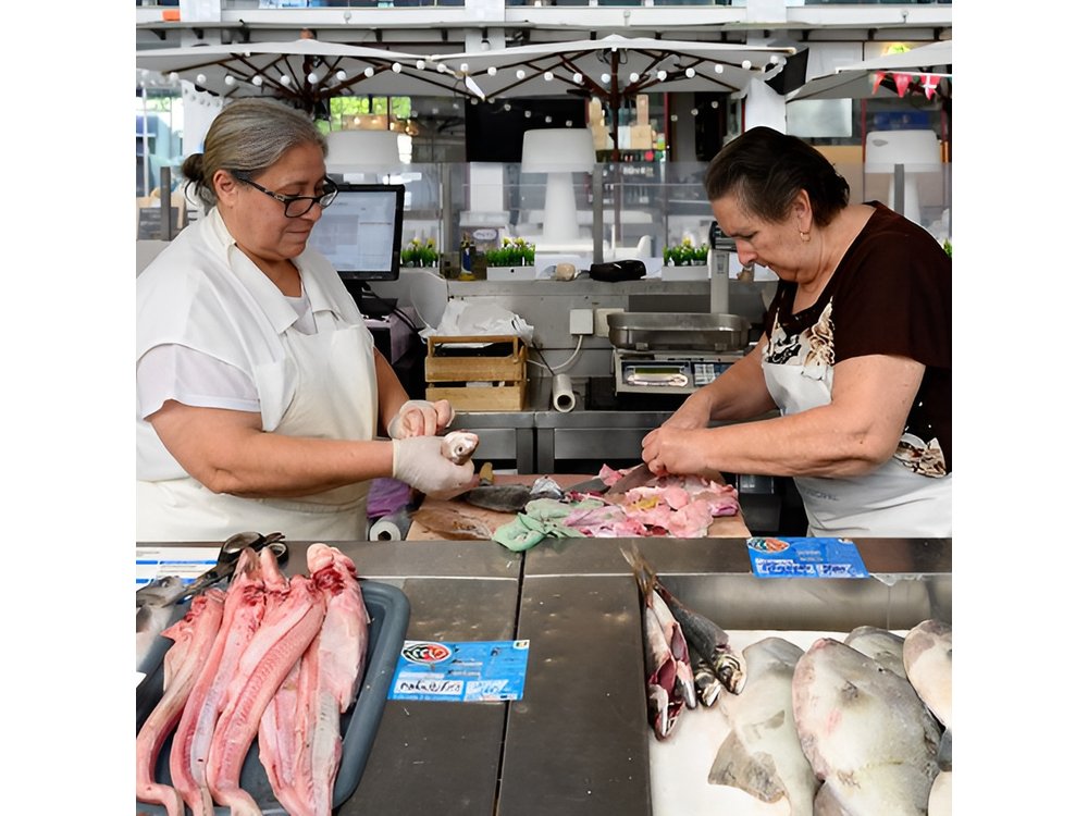 Sardine City Fish Tales and Tradition in the Porto Docks