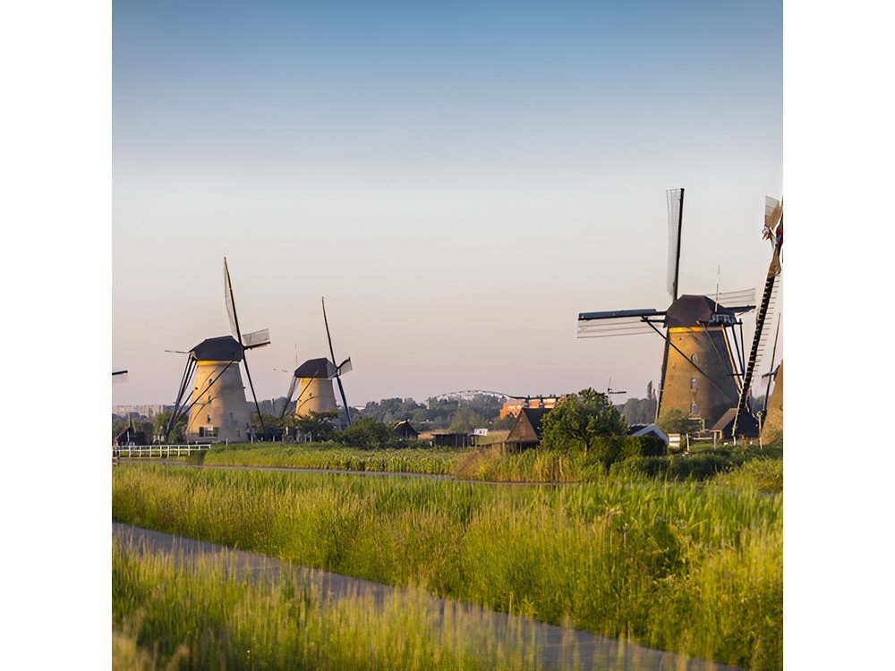 Famous Holland Tour: Visit Kinderdijk Rotterdam Delft from A'dam