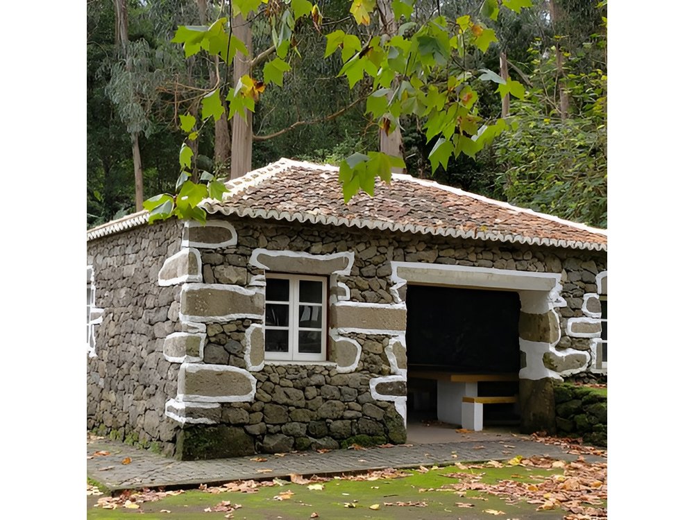 Half-Day West Side Tour in Terceira Island