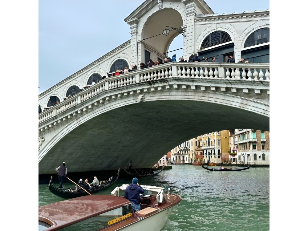 Venice Private Grand Canal Highlights and Rialto Bridge Boat Tour