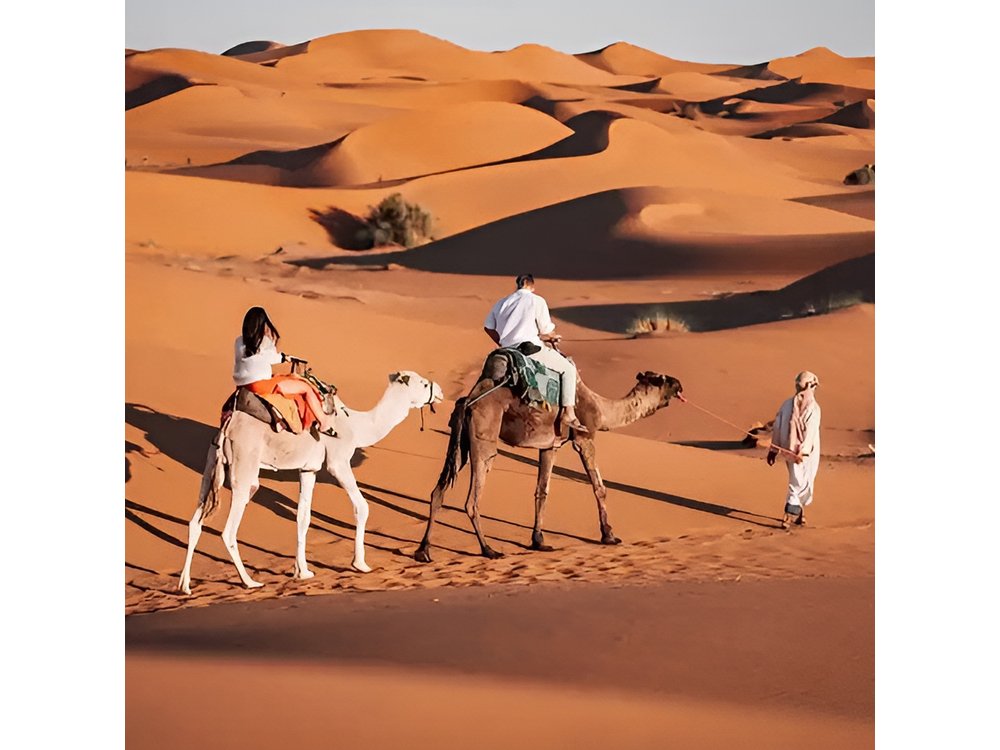 Private 3-Day Marrakech Desert Tour with Camel Ride experience