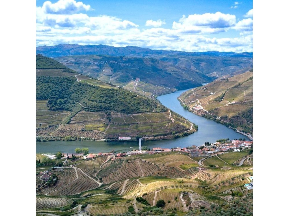 Private Douro Valley Tour: Boutique Winery & River Cruise