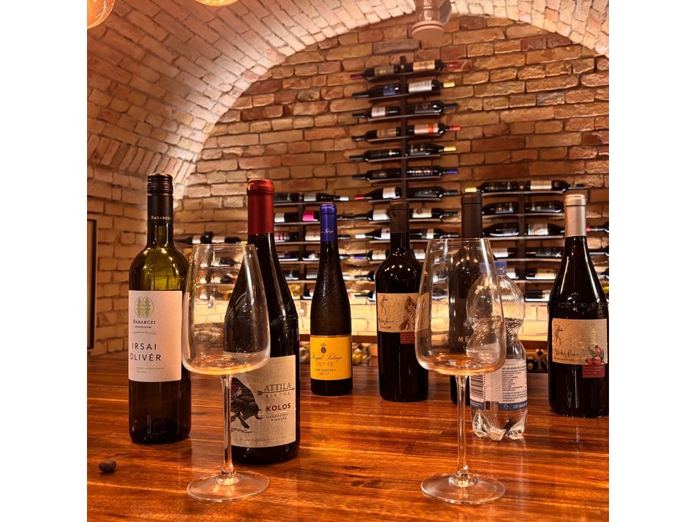 Budapest Wine Tasting and Heritage Experience at Goldcentral