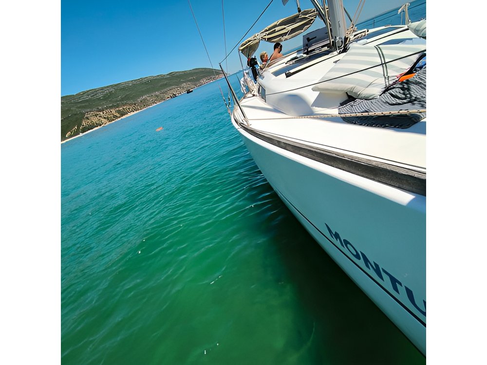 Half-Day boat experience - Comporta - Troia - Setubal